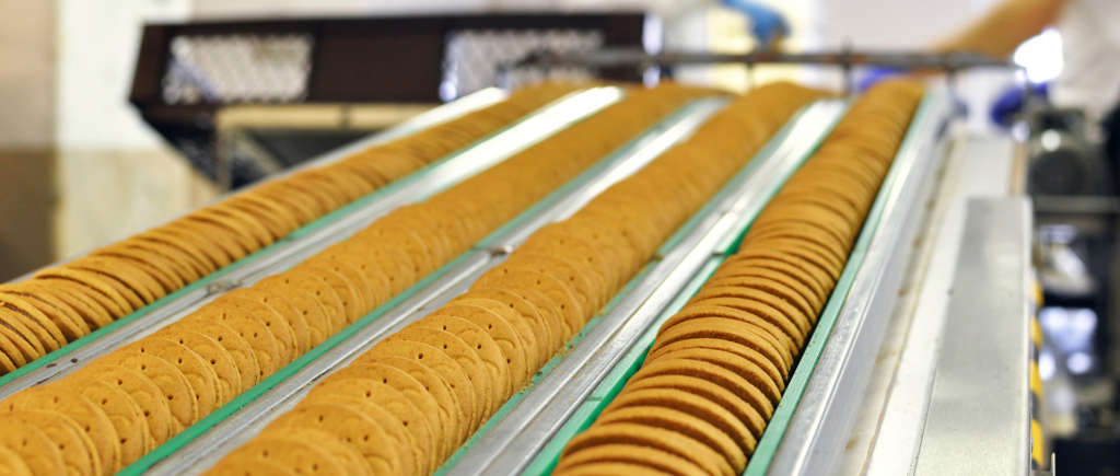 Ultra Durable Conveyor Belts for Food-Industry in fruit and vegetable processing